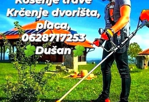 Košenje trave i krčenje dvorišta Beograd